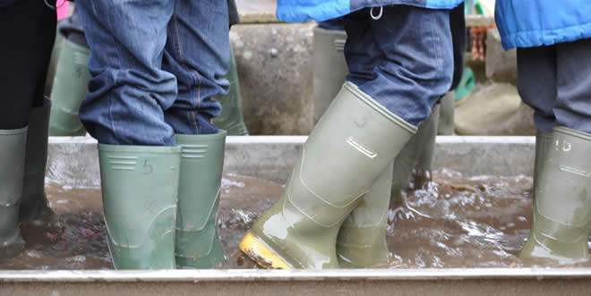 farm wellington boots